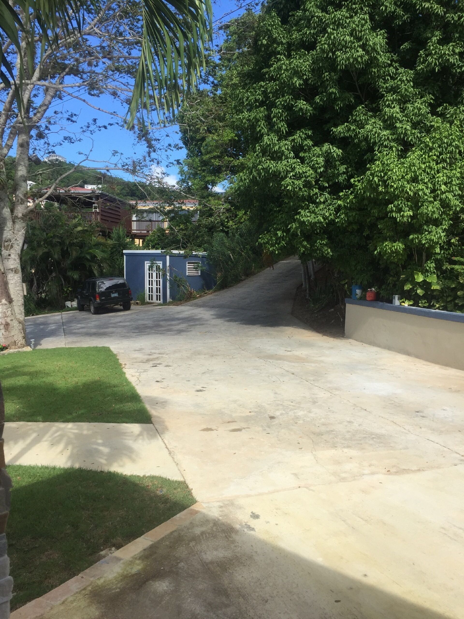 A residential driveway with a blue garage, a lawn, and a tree.