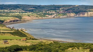 A coastal landscape with a village, green fields, and a large body of water. - Seaton Mote - UK31992 (Staithes)