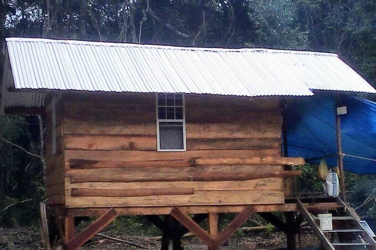 A wooden cabin with a corrugated metal roof, a small window, and a blue tarp covering part of the structure.