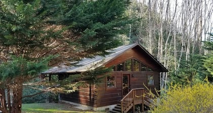 Private Creekside Cabin w/Hot Tub in the Nantahala Gorge