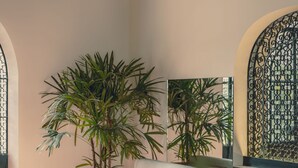 A cozy indoor seating area with wicker chairs and tables, a large potted plant, and a cushioned bench. - Baja Club Hotel, La Paz, Baja California Sur, a Member of Design Hotels (La Paz)