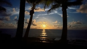 A sunset view with palm trees and a beach.