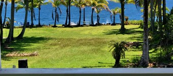 Jungle Bamboo Room: Watch Whales, Breakfast included at Ala Kai Bed & Breakfast