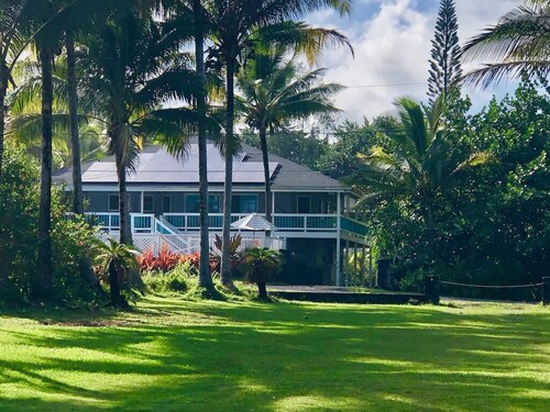 Jungle Cottage: Watch Whales