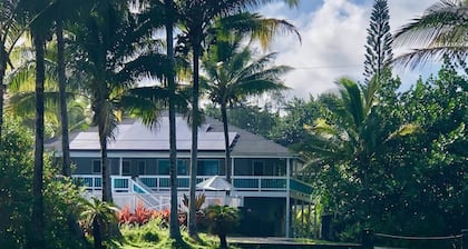 Jungle Cottage: Watch Whales