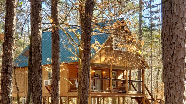 A wooden cabin with a deck, surrounded by trees and covered in autumn leaves.