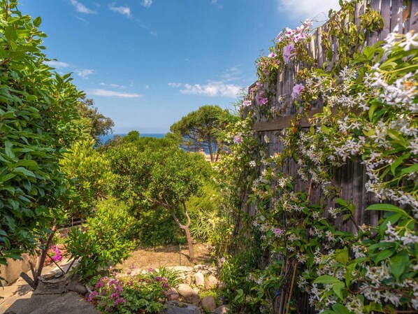 A garden with a wooden fence, various plants, and a view of the sea.