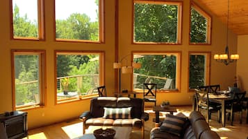 Smart TV, fireplace, DVD player, books