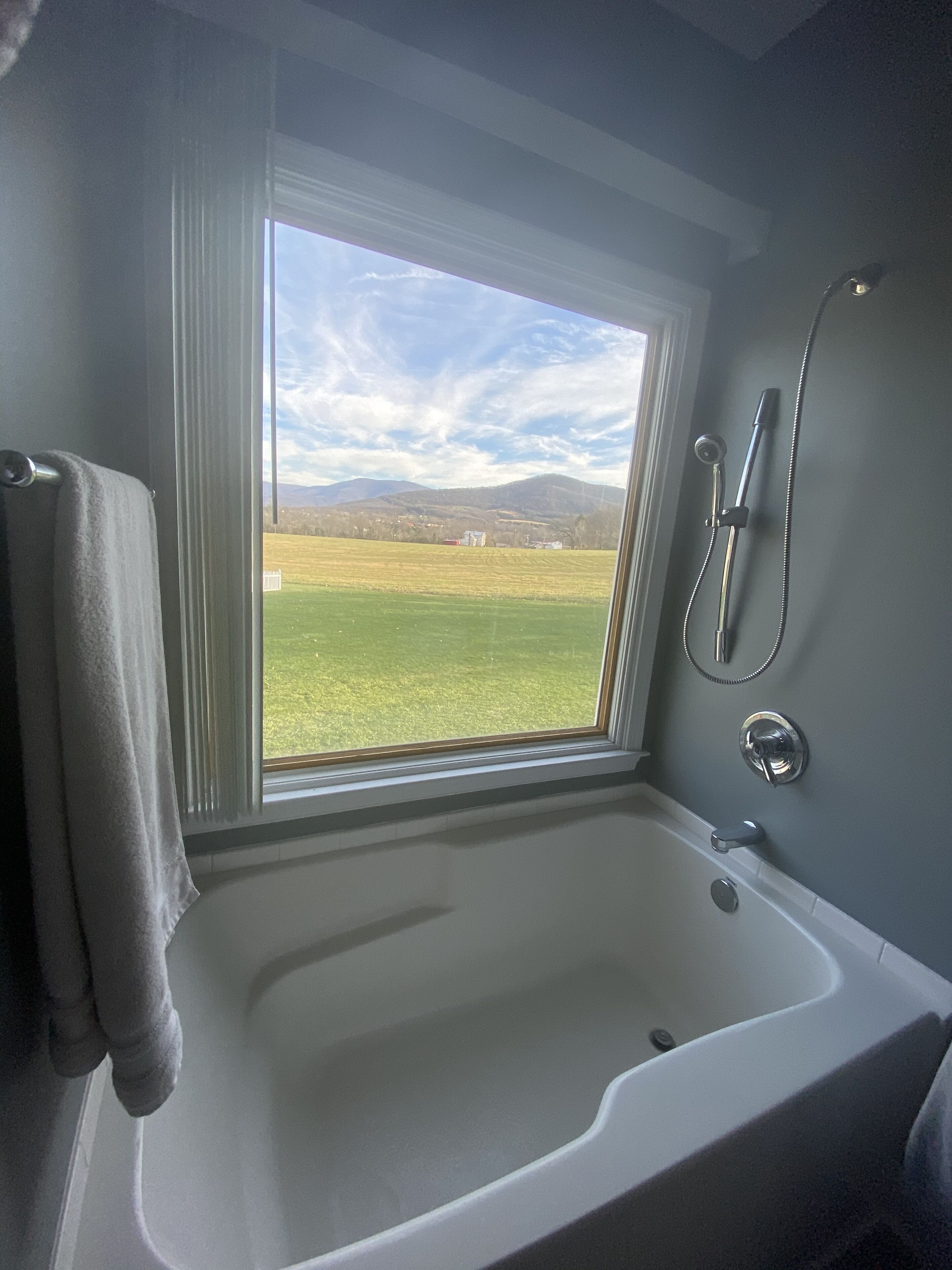 Combined shower/tub, jetted tub, hair dryer, bidet