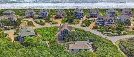 A coastal residential area with houses surrounded by greenery and a view of the ocean.