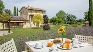 Une table dressée pour le petit-déjeuner, avec des croissants, un verre de jus d’orange et une tasse de thé, et en arrière-plan, une vue sur une maison et des champs de lavande.