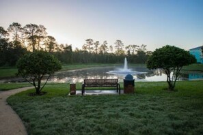 المنطقة المحيطة بالمنشأة