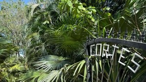 A sign with the word "FORTES" in a garden setting with various tropical plants.