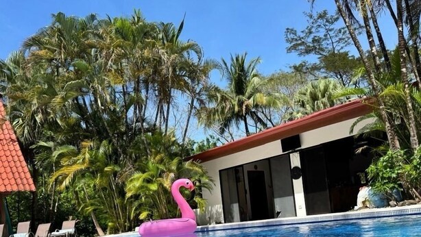 A swimming pool with a pink flamingo float, surrounded by palm trees and a building with a red roof.