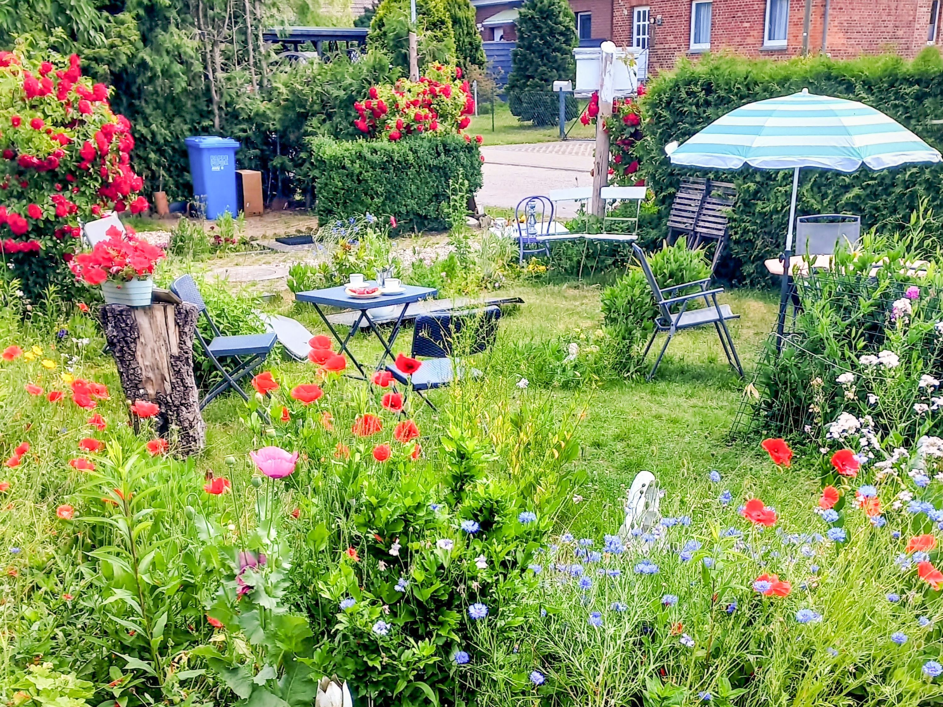 Ein Garten mit Tisch und Stühlen, einem blauen Sonnenschirm und verschiedenen Pflanzen und Blumen.