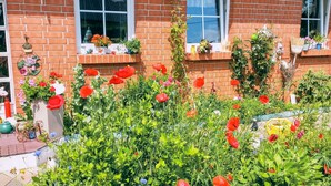 A brick house with two windows, a small porch, and a garden with red flowers.