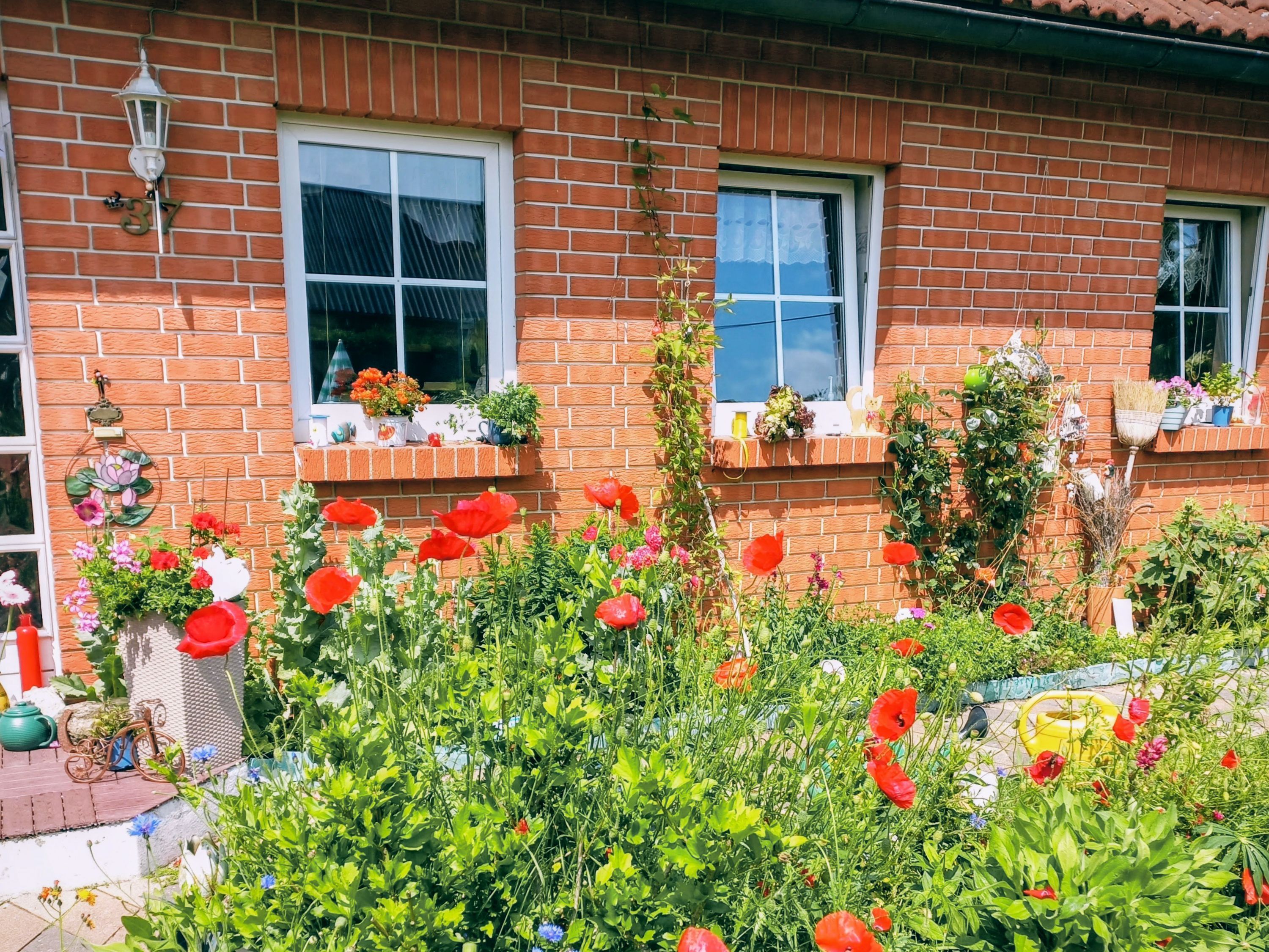 A brick house with two windows, a small porch, and a garden with red flowers.