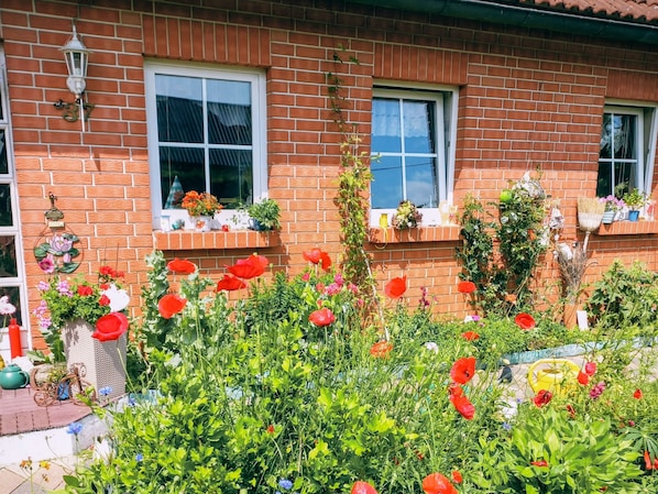 A brick house with two windows, a small porch, and a garden with red flowers.