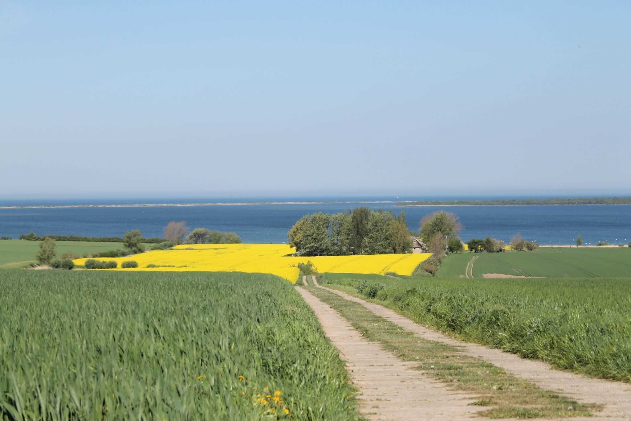 Paisagem rural com campos, um caminho e um corpo d'água ao longe.