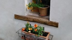 Een rustieke houten plank met potplanten.
