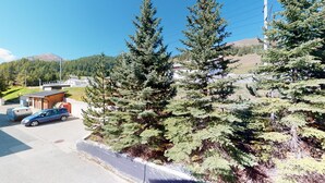 A parking area with a blue car, surrounded by dense coniferous trees and a small building with a sloped roof.