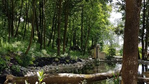 Un paisaje sereno con un bosque, un estanque rodeado de rocas y vegetación.