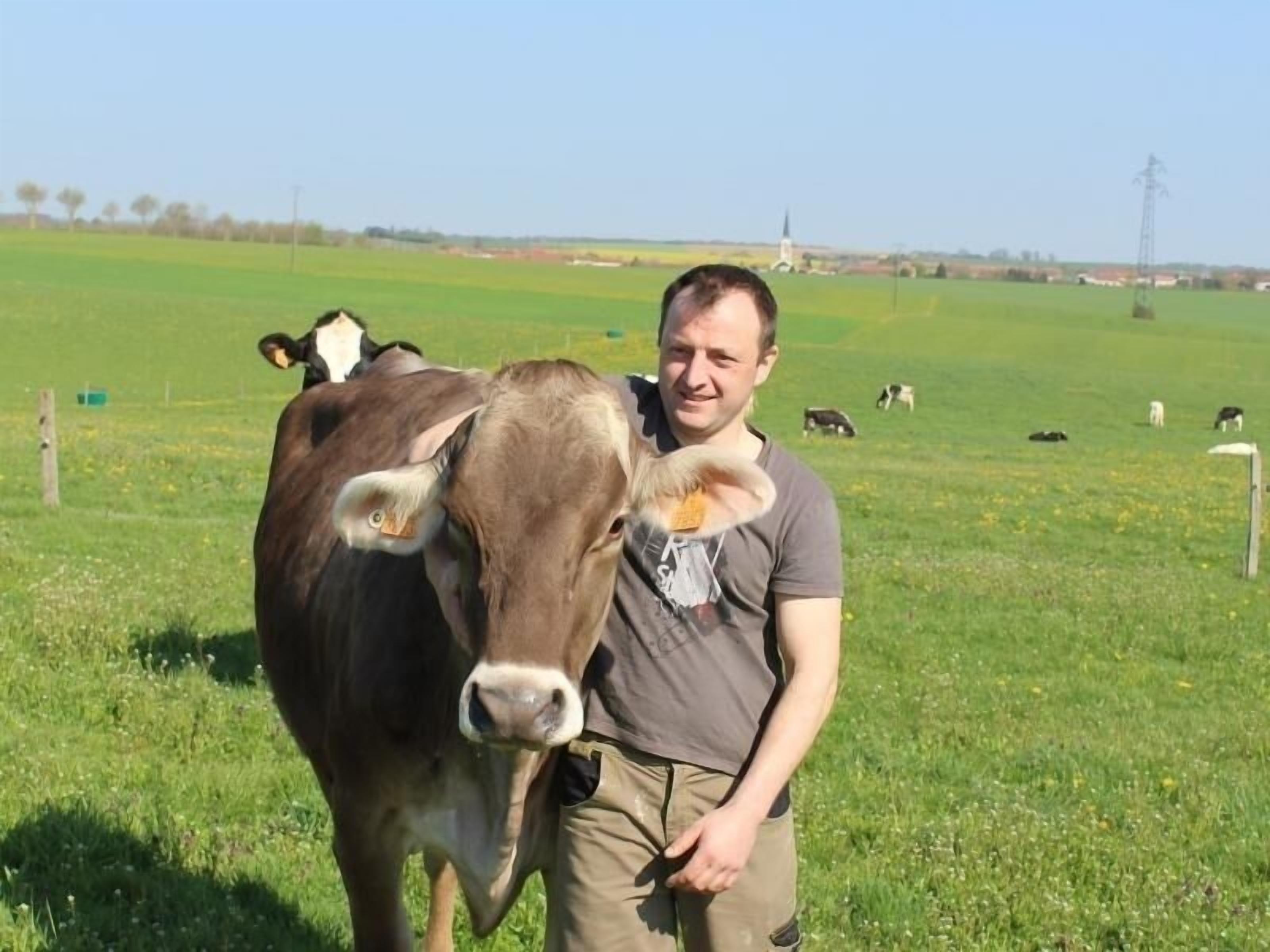 Een man staat in een grasveld met koeien.