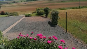 Un paysage rural avec des champs, un chemin de gravier et des fleurs en pleine floraison.