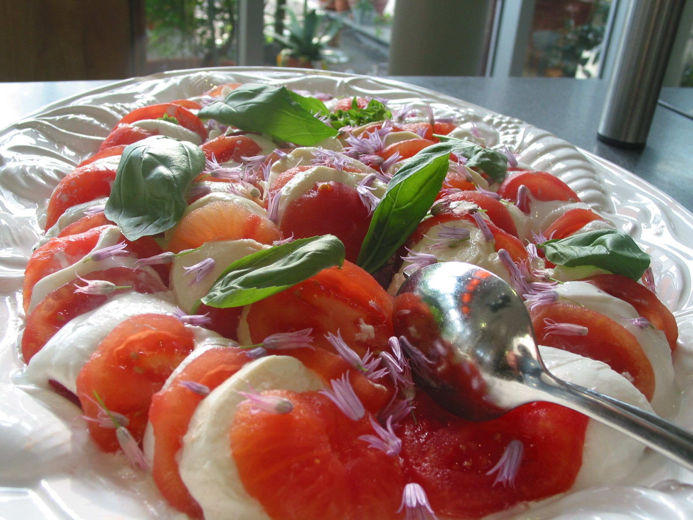 A plate of Caprese salad with tomatoes, mozzarella, and basil, garnished with red onion and flowers.