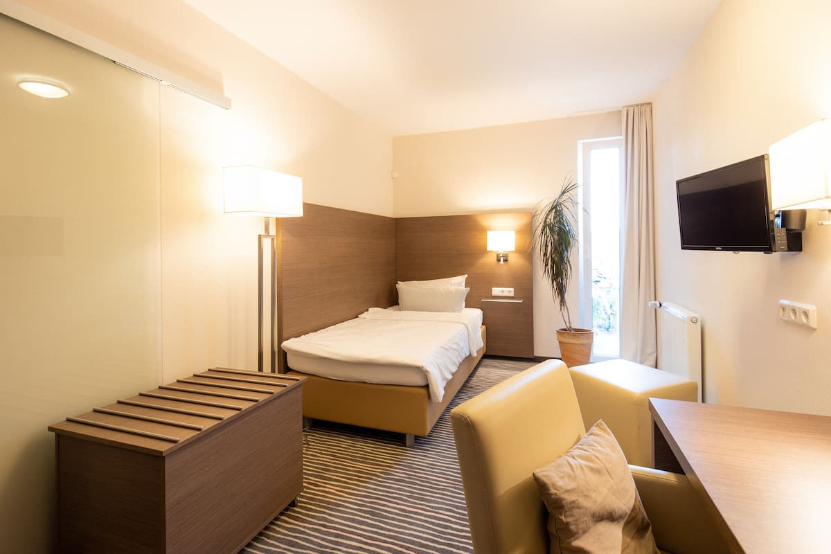 A hotel room with a bed, a desk, a chair, a TV, and a plant.