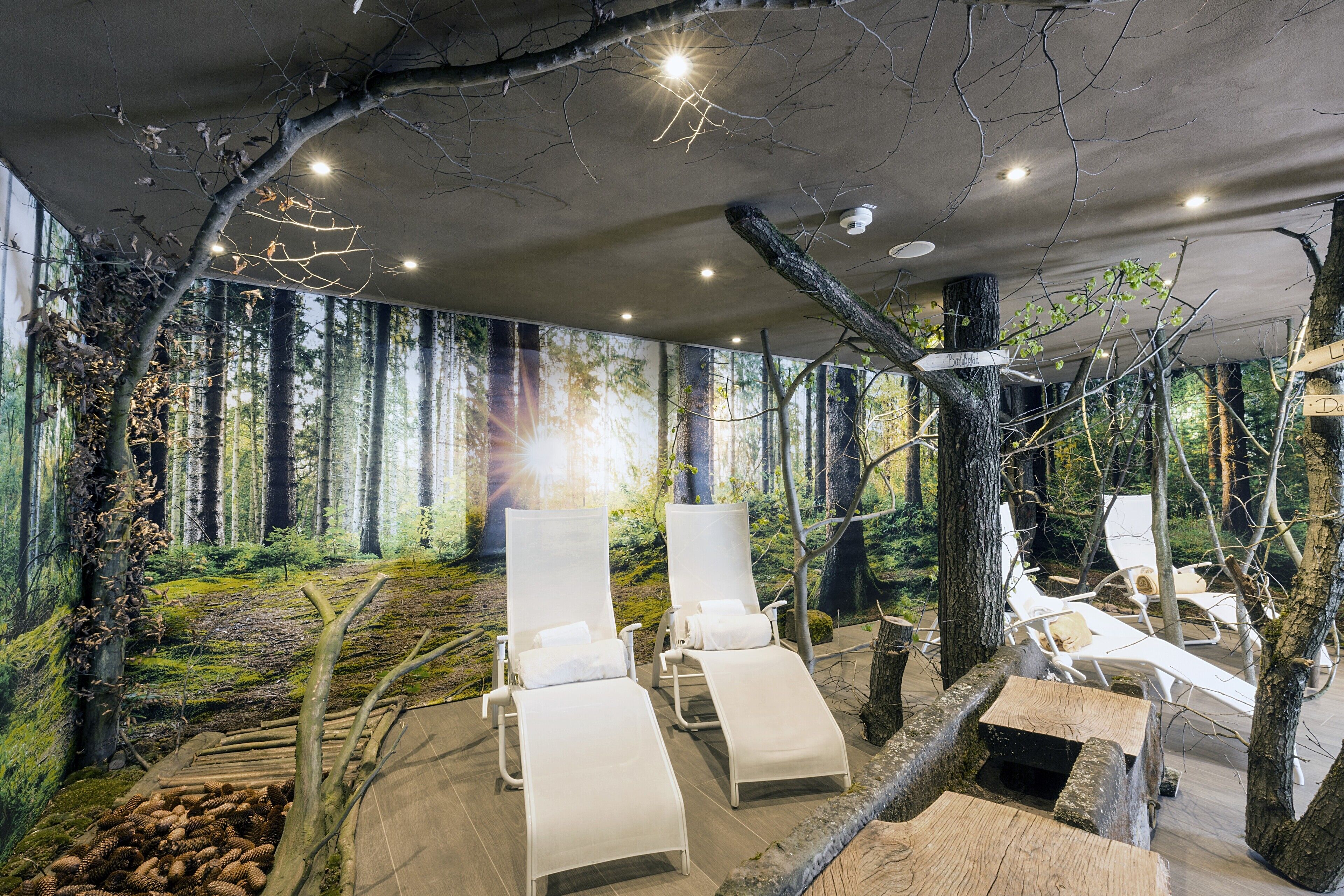 Behandelingskamers voor koppels, een sauna, een stoombad