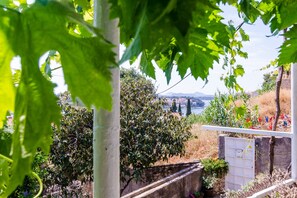 Vista desde la propiedad