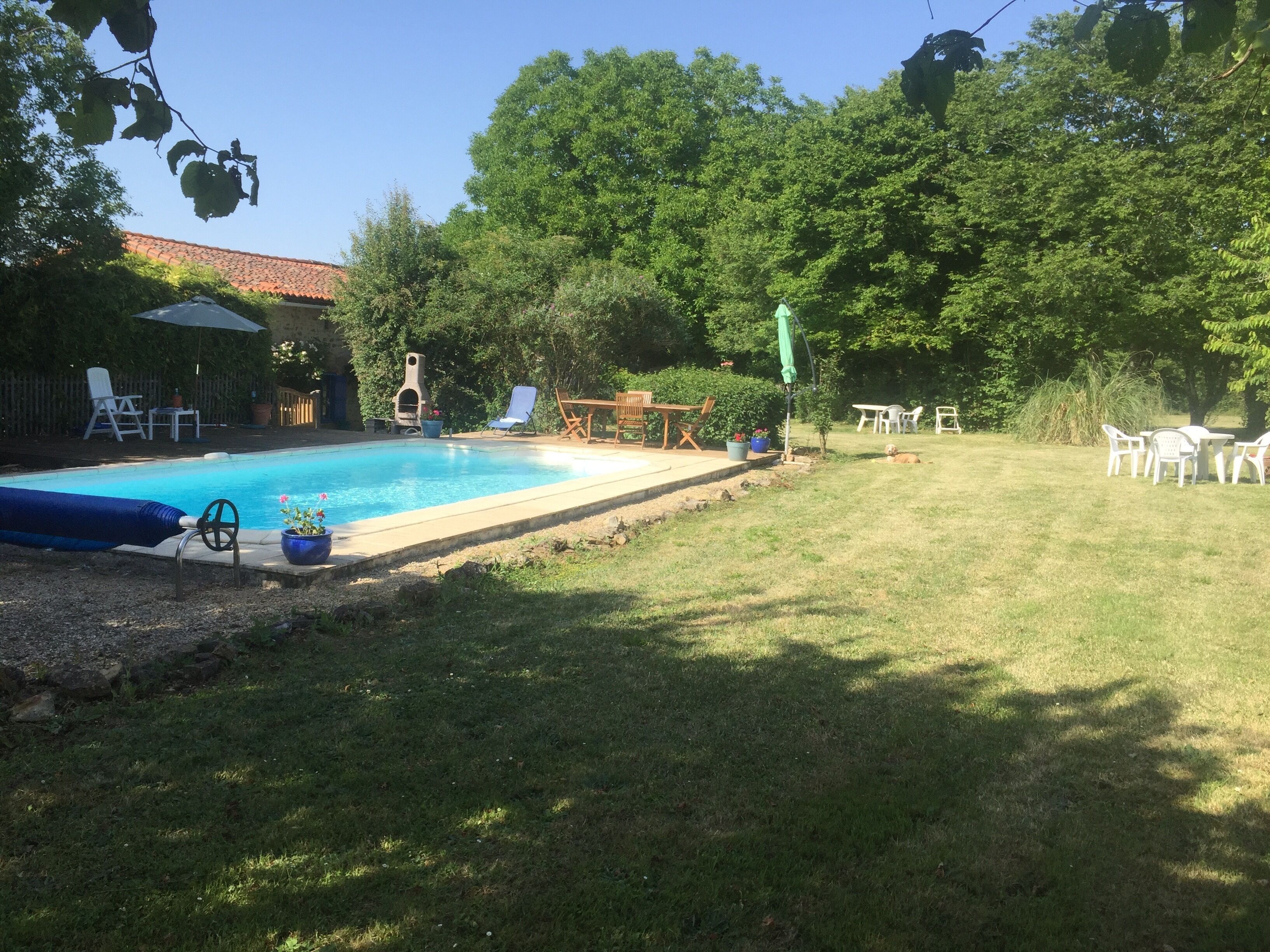 Un patio trasero con piscina, zona de barbacoa y mobiliario exterior.