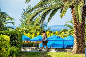 المنطقة المحيطة بالمنشأة