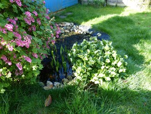 Cottage | Property grounds