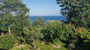 Unclassified image, 2 of 40, button - Littlestairs (Shanklin)