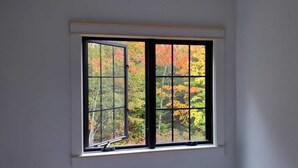 A window with a view of autumn foliage.