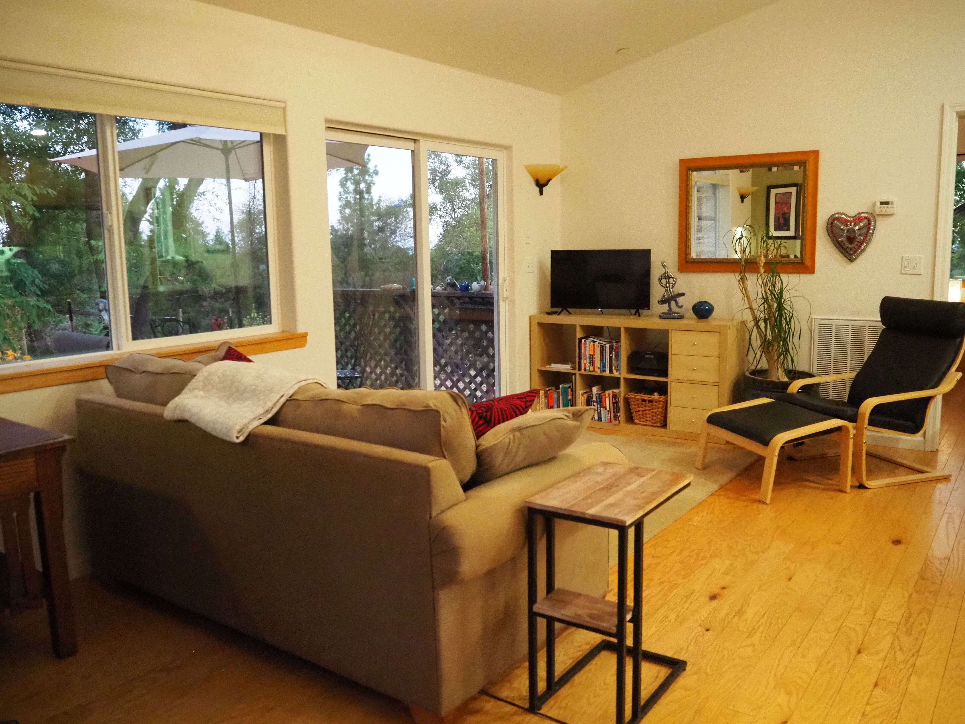 Smart TV, DVD player, books, video library