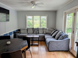Smart TV, fireplace, books