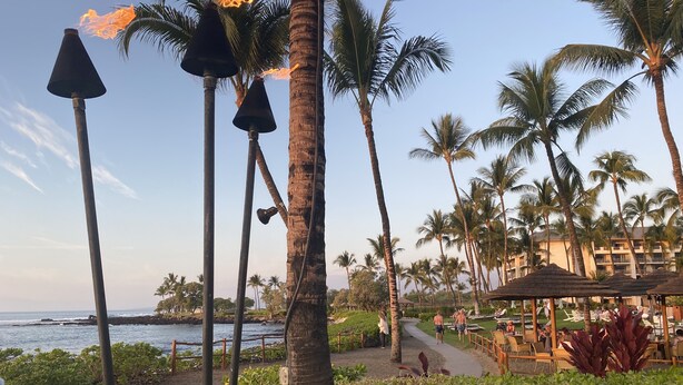 A resort with palm trees, a beach, and a pool area. - Relax and Rejuvenate in the Heart of Kona. Minutes walk to town! (Kailua-Kona)