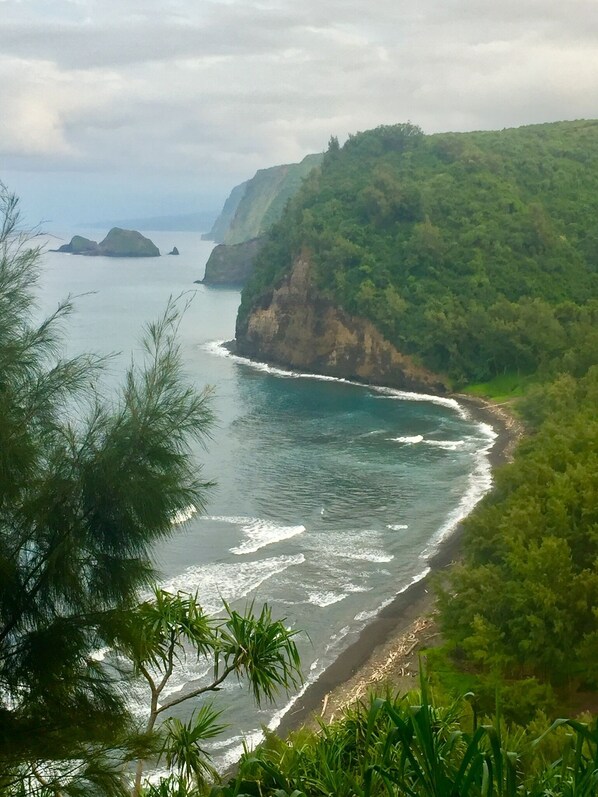 Enjoy breathtaking ocean views and serene surroundings amidst lush greenery.