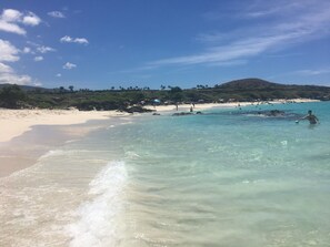 ビーチの近く、サンラウンジャー、ビーチタオル