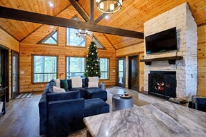 TV, fireplace, books, music library