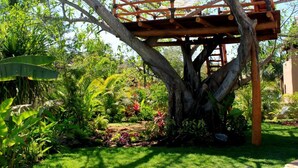 A treehouse structure built into a large tree, surrounded by lush greenery and various plants.