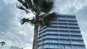 A multi-story hotel with balconies, a palm tree, and a well-maintained garden. -  Cozy Beach Condo Awaits on Padre Island! (South Padre Island)