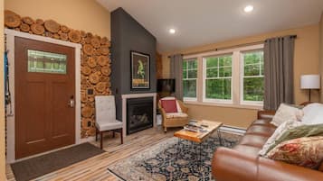 智能電視、壁爐、DVD 播放機、影像庫