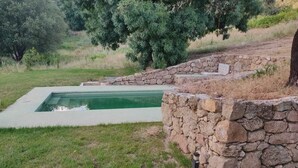 Ein Pool mit Steinmauer und Rasenfläche.