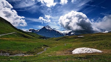 Wandern