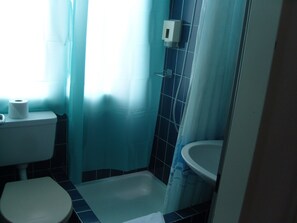 Secador de pelo, champú y papel higiénico