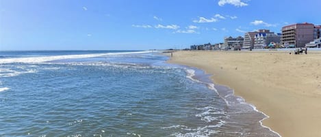 On the beach